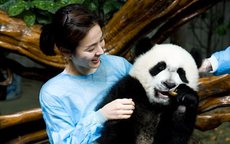 Hình ảnh Song Hye Kyo để mặt mộc chăm sóc gấu trúc được chia sẻ lại