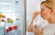 Tủ lạnh có mùi hôi hãy áp dụng ngay những cách này để loại bỏ uế khí