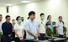 Xét xử vụ 'thổi giá' cây xanh: Ông Nguyễn Đức Chung bị đề nghị từ 2-3 năm tù. 