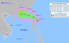 Tin  30/8: Thông tin mới về bão Saola giật cấp 17 đang tiến gần Biển Đông; nhân viên nhà sách bị tố lục soát, khám người bé trai học lớp 5