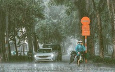 Dự báo thời tiết ngày mai 30/8: Cảnh báo mưa dông, mưa lớn cục bộ tại các tỉnh phía Nam