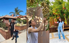 Khám phá khu vườn trĩu trái bên trong biệt thự của Hoa hậu Dương Mỹ Linh tại Mỹ, có một góc ai cũng muốn tới