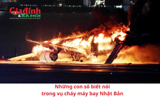 Những con số thống kê trong vụ máy bay rơi tại Nhật Bản