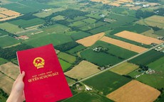 Cố ý chuyển nhượng đất không có sổ đỏ bị xử lý thế nào theo quy định mới nhất?