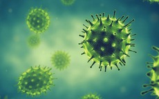 Những điều cần biết về virus cúm A