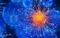 Phát hiện virus mới có thể tiêu diệt siêu vi khuẩn kháng thuốc