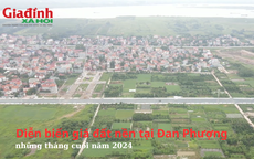 Diễn biến giá đất nền tại Đan Phượng, Hà Nội những tháng cuối năm 2024