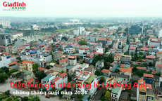 Diễn biến giá nhà riêng lẻ tại Đông Anh, Hà Nội những tháng cuối năm 2024