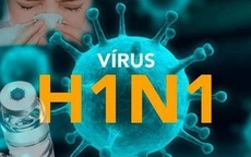 Bình Định ghi nhận 4 ca tử vong do cúm A(H1N1)pdm, Bộ Y tế đề nghị xử lý triệt để, hạn chế lây lan diện rộng