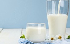 9 thực phẩm hạ acid uric máu kiểm soát bệnh gout