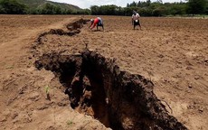 Tại sao lục địa Châu Phi đang bị chia tách thành hai: Giải mã bí mật địa chất âm ỉ suốt hàng chục triệu năm