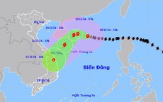 Tin tối 9/11: Khởi tố kẻ đứng sau web phim lậu cực lớn tại Việt Nam; bão số 7 Yinxing giữ cường độ cấp 14