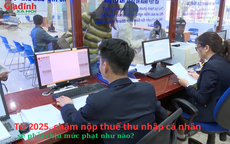 Từ 2025, chậm nộp thuế thu nhập cá nhân sẽ phải chịu mức phạt như nào?