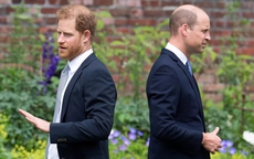 William và Harry tránh mặt nhau tại sự kiện mang tên Công nương Diana