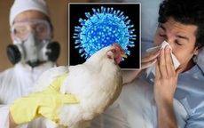Thông tin mới nhất vụ nam sinh tử vong do cúm A/H5N1, đây có thể là yếu tố dịch tễ lây nhiễm bệnh
