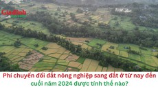 Phí chuyển đổi đất nông nghiệp sang đất ở từ nay đến cuối năm 2024 được tính thế nào?