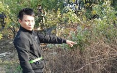 Diễn biến mới nhất vụ sát hại cô gái đi giao gas từ manh mối bộ xương người trong bể nước thải