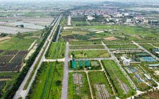 Đất nền ven Hà Nội tấp nập lên sàn đấu giá, khởi điểm từ 14,1 triệu đồng/m2