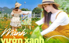 Khu vườn đẹp ấn tượng của cô gái 30 tuổi: Rau trái thu hoạch quanh năm mà chi phí cải tạo chỉ 10 triệu đồng