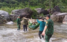 Người đàn ông sống sót sau 4 ngày rơi xuống vực trong rừng sâu