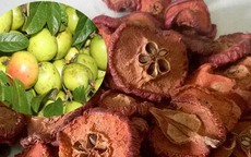 Cháo thuốc hỗ trợ điều trị tiểu buốt, tiểu rắt