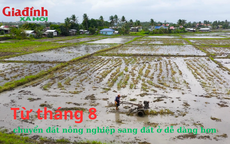 Từ tháng 8, chuyển đất nông nghiệp sang đất ở dễ dàng hơn