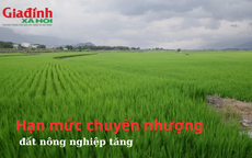 Hạn mức chuyển nhượng đất nông nghiệp tăng