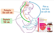 Sản phẩm hỗ trợ lợi sữa khoa học, thành phần thiên nhiên