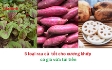 5 loại rau củ tốt cho xương khớp có giá siêu rẻ