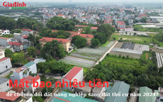 Mất bao nhiêu tiền để chuyển đổi đất nông nghiệp sang đất thổ cư năm 2024?