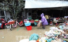 'Điểm mặt' những bệnh truyền nhiễm hay gặp trong mùa bão, lũ và những biện pháp phòng ngừa