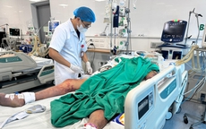 Ăn tiết canh mùng 1 để... lấy may, nam thanh niên 27 tuổi hôn mê, suy đa tạng 