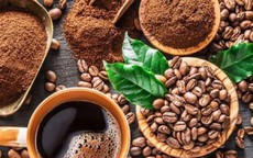 Giá cà phê hôm nay 1/1: Giảm đồng loạt ở trong nước và thế giới