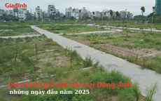 Diễn biến giá đất nền tại Đông Anh, Hà Nội những ngày đầu năm 2025