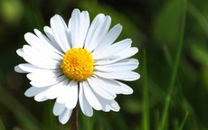 Ngày sinh Âm lịch của người luôn khiến gia đình tự hào