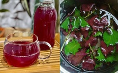 Loại rau nên ăn nhiều vào mùa thu giúp tăng đề kháng, ngăn ngừa viêm mũi và cảm lạnh hiệu quả