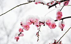 Số cuối ngày sinh Âm lịch của người tuổi trẻ phải trải qua nhiều sương gió