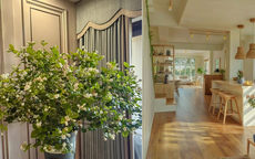 8 dấu hiệu đang sống trên mảnh đất vàng, bán đi là tiếc cả đời