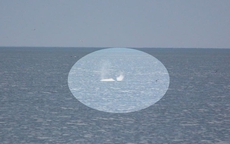 Phát hiện "thủy quái" trên biển, người dân cả vùng chấn động và đặt cùng 1 câu hỏi