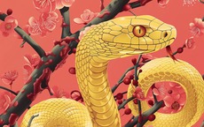 Con giáp xuất sắc từ đầu đến chân: Vừa tài giỏi vừa khí chất