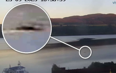 Gặp 'thủy quái' to như xe buýt bơi trên mặt hồ, thợ săn nói: Những gì tôi thấy là độc nhất vô nhị