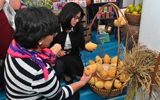 Tuần lễ nông sản Việt chính thức khai mạc, người tiêu dùng tiếp cận đặc sản các địa phương bằng nhiều cách