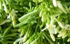 Cách ngâm hoa đu đủ đực với mật ong để trị ho, viêm họng