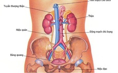 Người đàn ông bị viêm đường tiết niệu tái phát, bác sĩ chỉ rõ nguyên nhân
