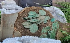 Dò kim loại trên cánh đồng, người đàn ông đào được kho báu quý giá