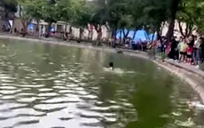 Xác định nguyên nhân và danh tính cô gái tử vong ở hồ Hoàn Kiếm