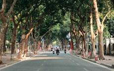 Ngắm phố Phan Đình Phùng trong những ngày đầu đông