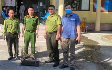 Động vật quý hiếm bất ngờ lạc vào nhà dân trong đêm