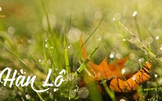 Những điều nên kiêng kỵ và thực phẩm bổ dưỡng trong tiết Hàn Lộ 2025 để giữ sức khỏe mùa chuyển lạnh