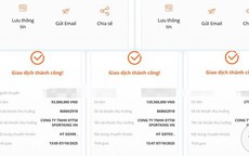 Một phụ nữ bị lừa 600 triệu đồng khi tham gia nhóm pickleball trên mạng